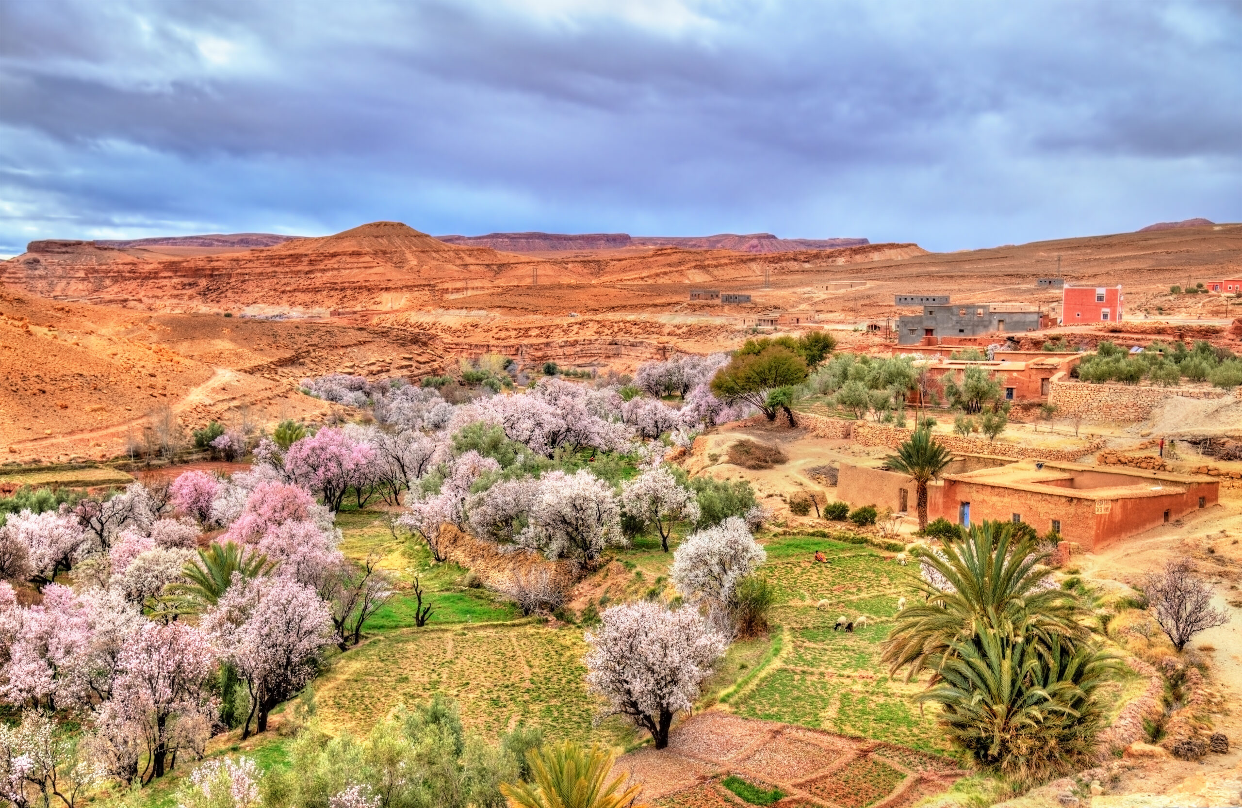 Unveiling the Allure of the Barbarian Tribes in the High Atlas